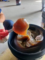 Mỡ chịu tải SUNLUBE EP 3 - Ảnh 4